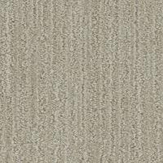 Phenix Floor Ever Pet Plus 12' All Inclusive Carpet Tile