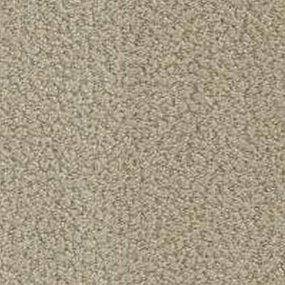 Phenix Floor Ever Pet Plus 12' In the Details Carpet Tile