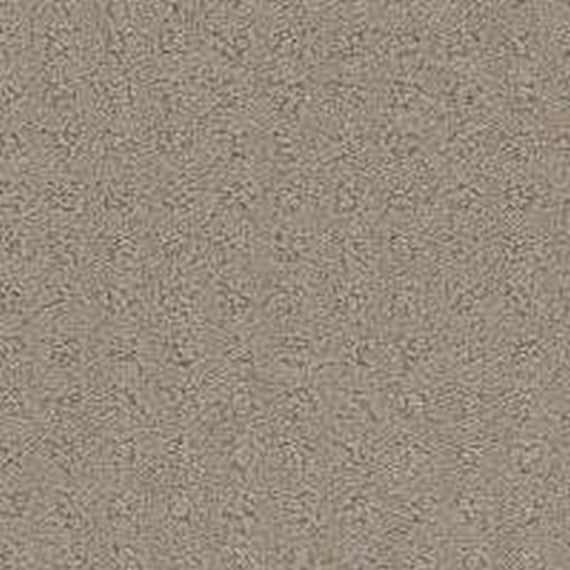 Phenix Floor Ever Pet Plus Debut 12' Carpet Tile