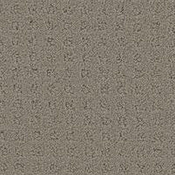 Phenix Floor Ever Pet Plus Debut 12' Carpet Tile