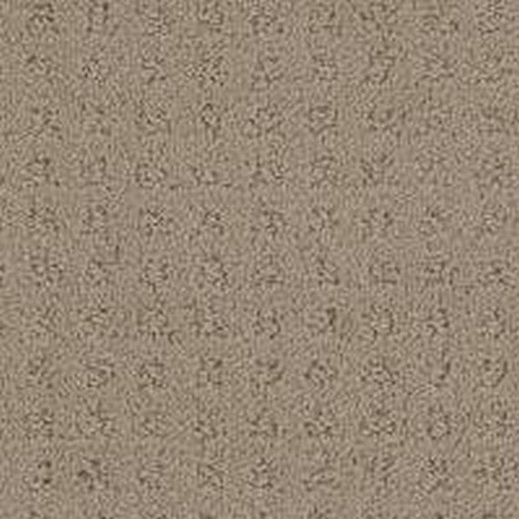 Phenix Floor Ever Pet Plus Debut 12' Carpet Tile