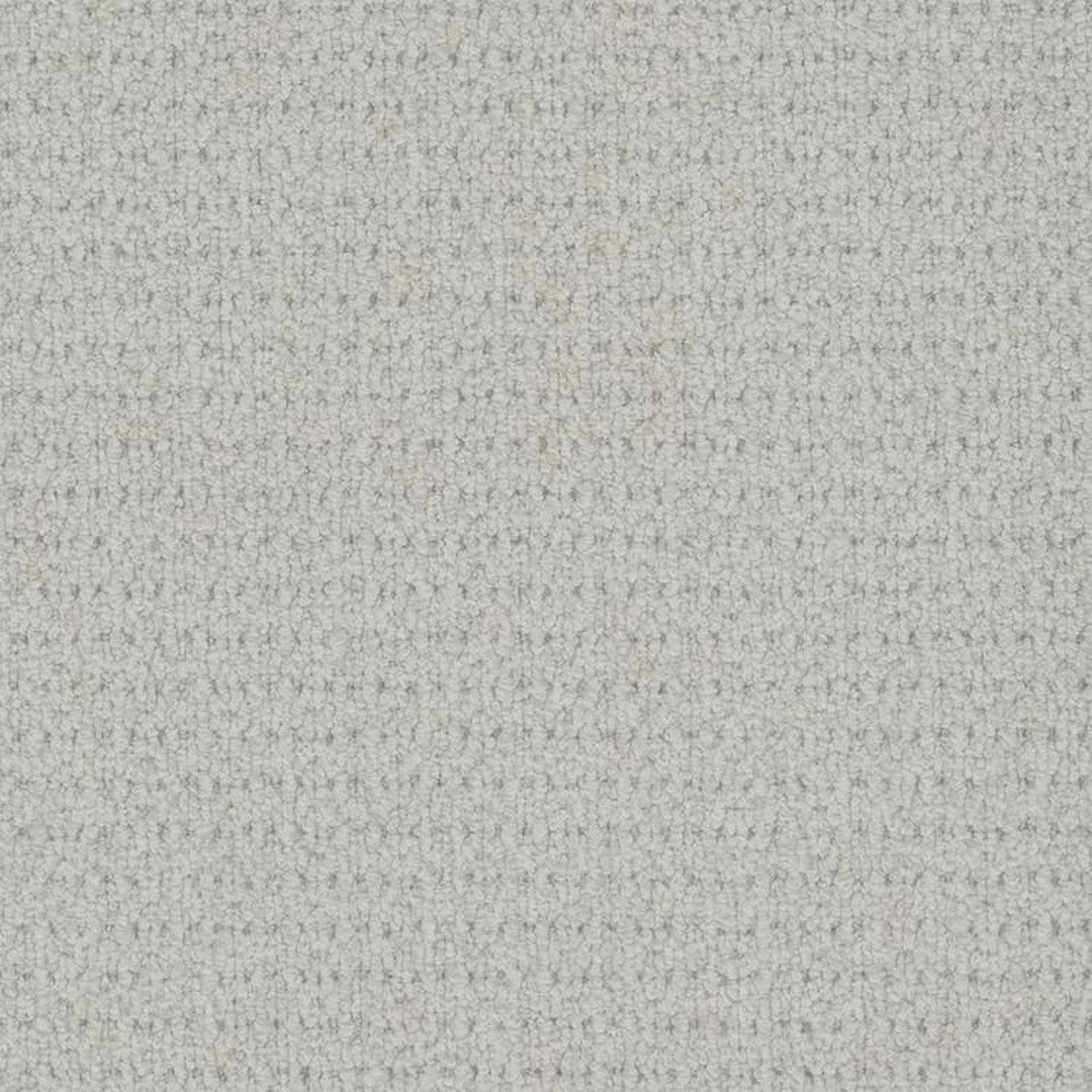 Phenix Floor Ever Pet Plus 12' Cardigan Carpet Tile