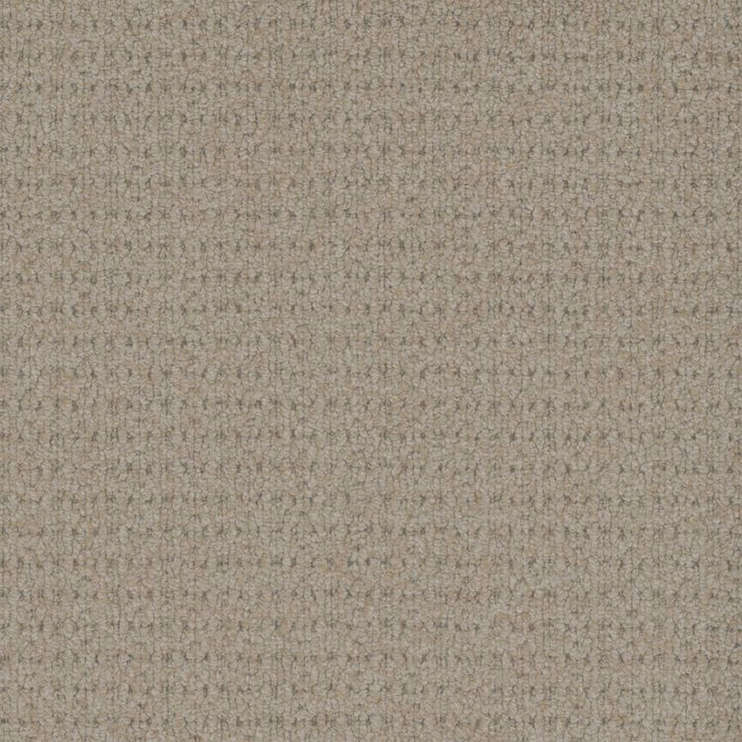 Phenix Floor Ever Pet Plus 12' Cardigan Carpet Tile