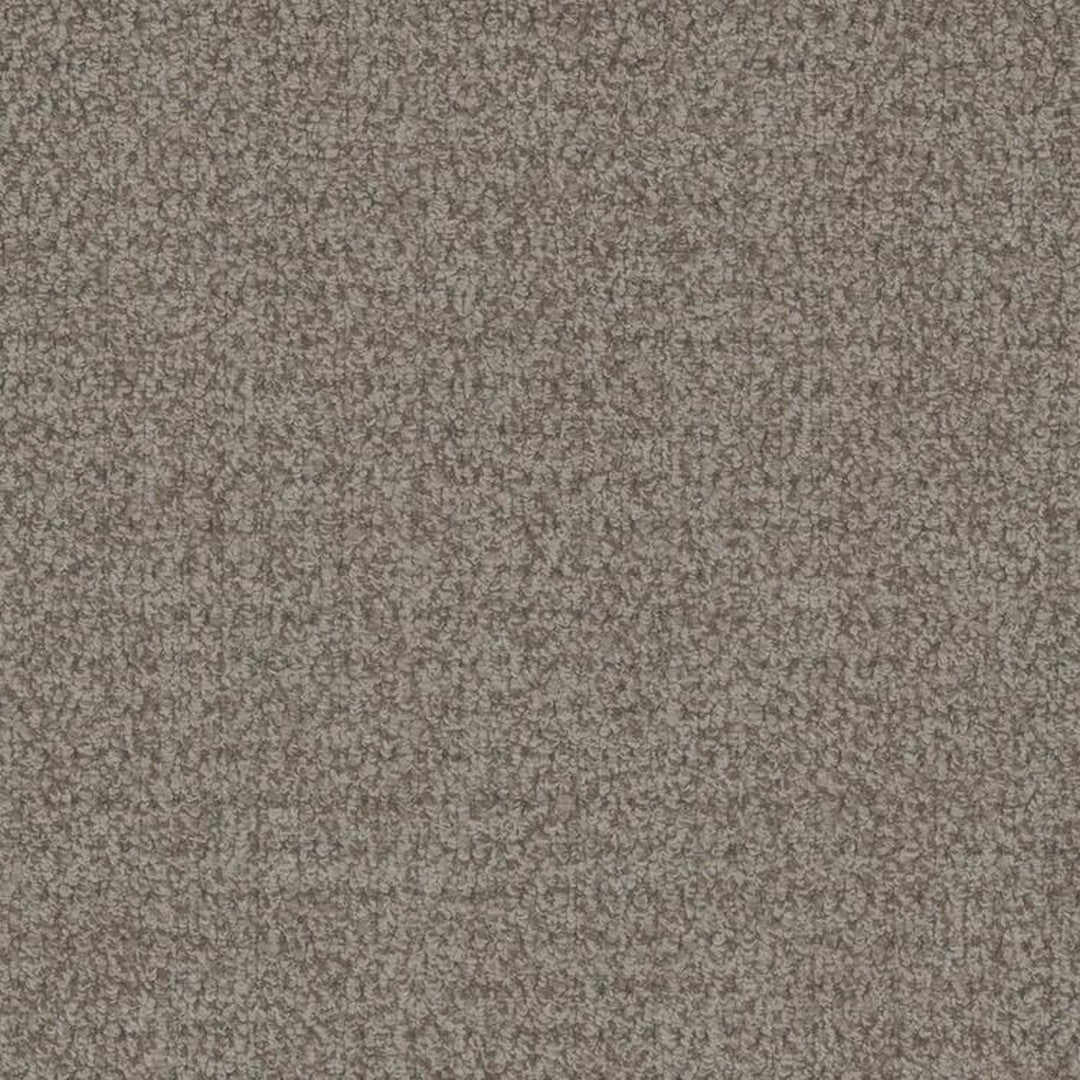 Phenix Floor Ever Pet Plus 12' Cardigan Carpet Tile