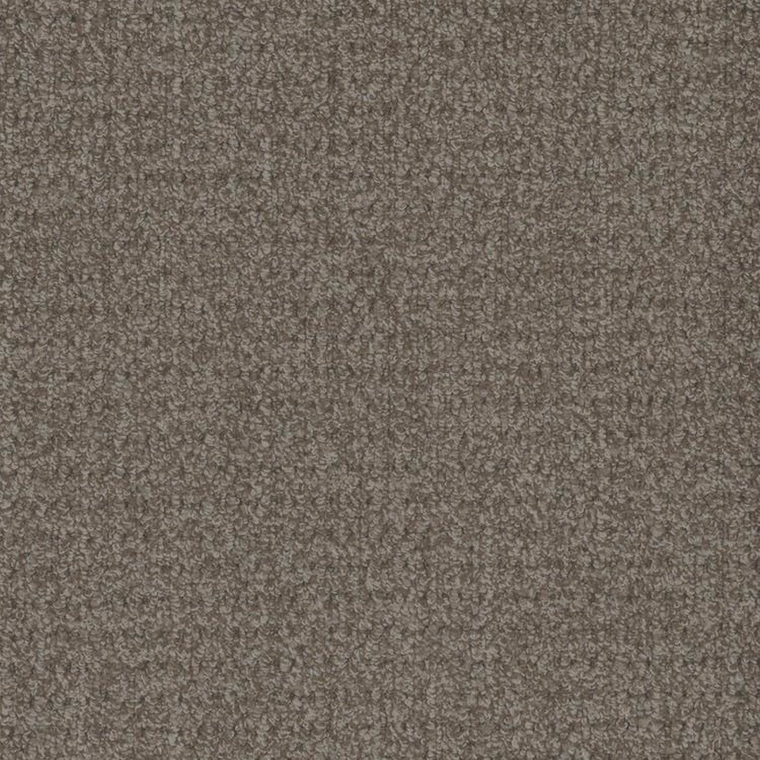 Phenix Floor Ever Pet Plus 12' Cardigan Carpet Tile