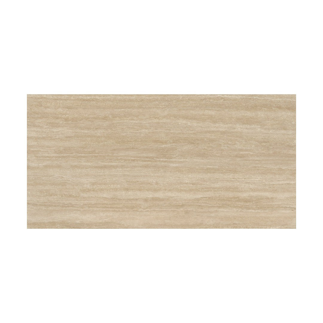 Ottimo Fortune 24" x 48" Rectified Matte Porcelain Tile