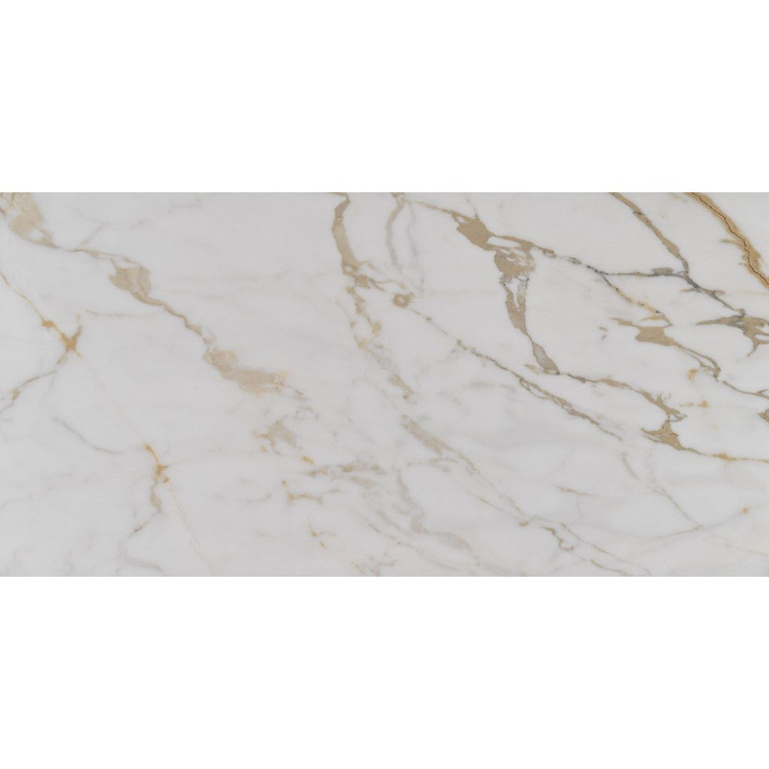 Florida Tile Alustra 24" x 48" Polished Porcelain Tile