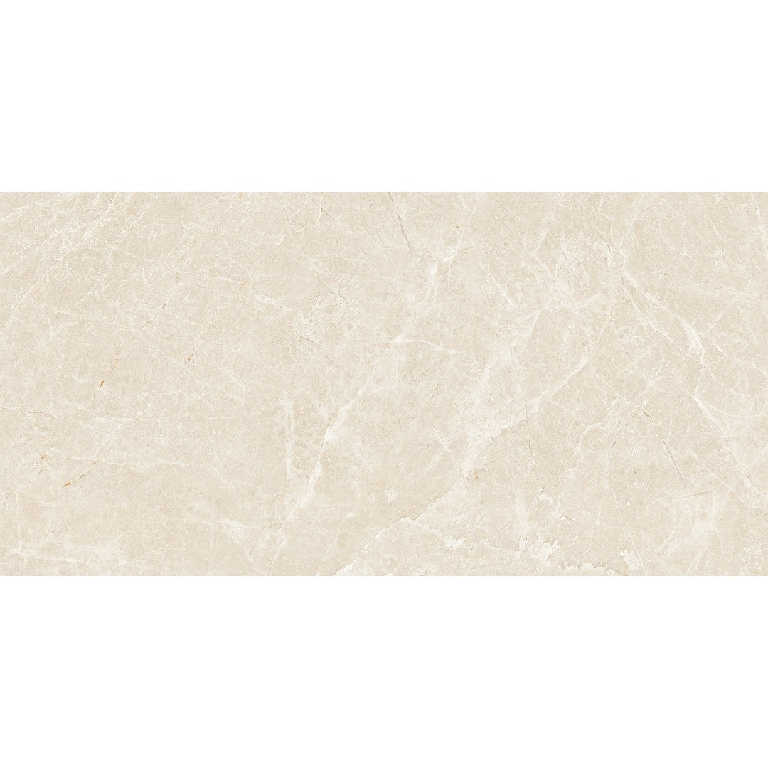 Tesoro Lucca 12" x 24" Rectified Matte Porcelain Tile