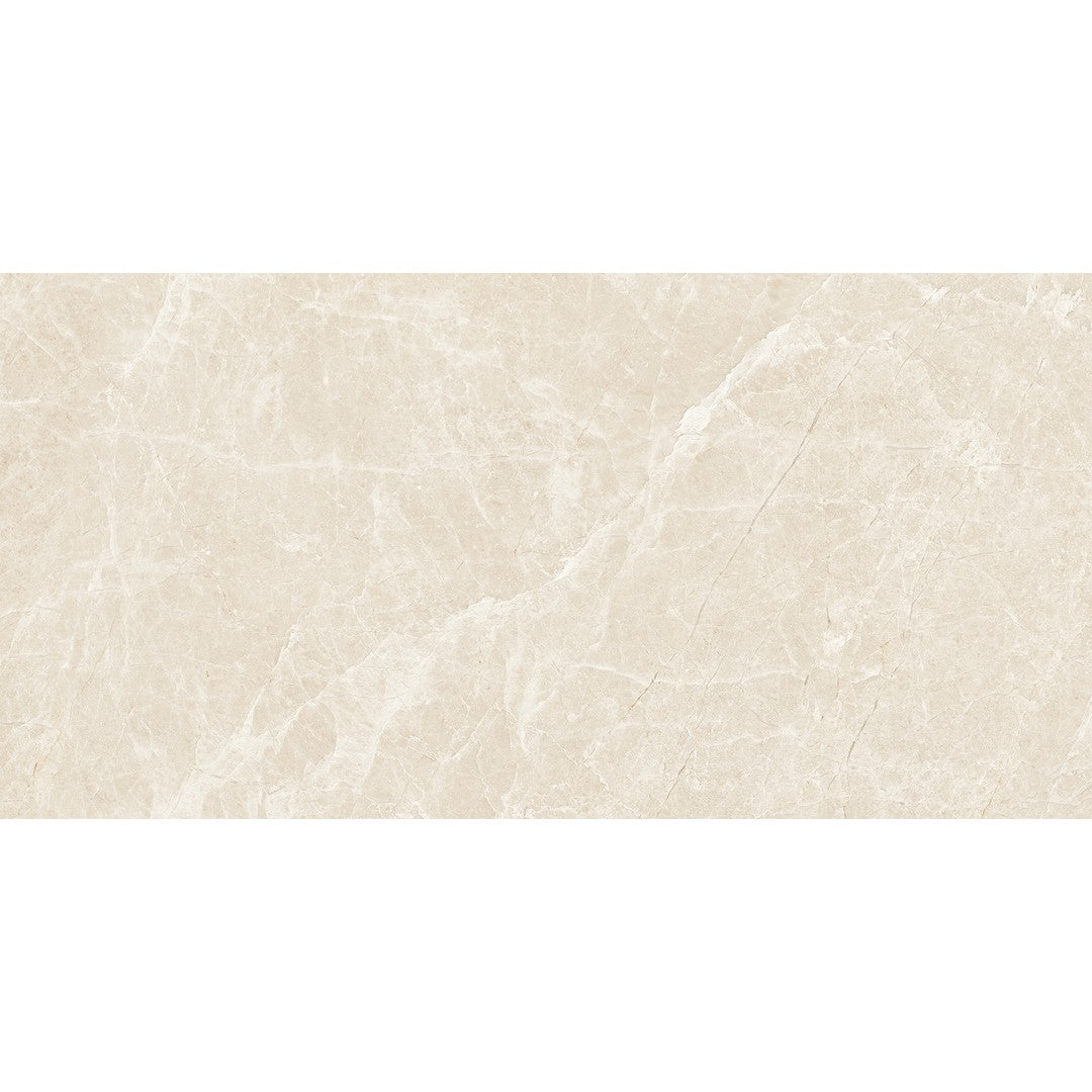 Tesoro Lucca 24" x 48" Rectified Matte Porcelain Tile