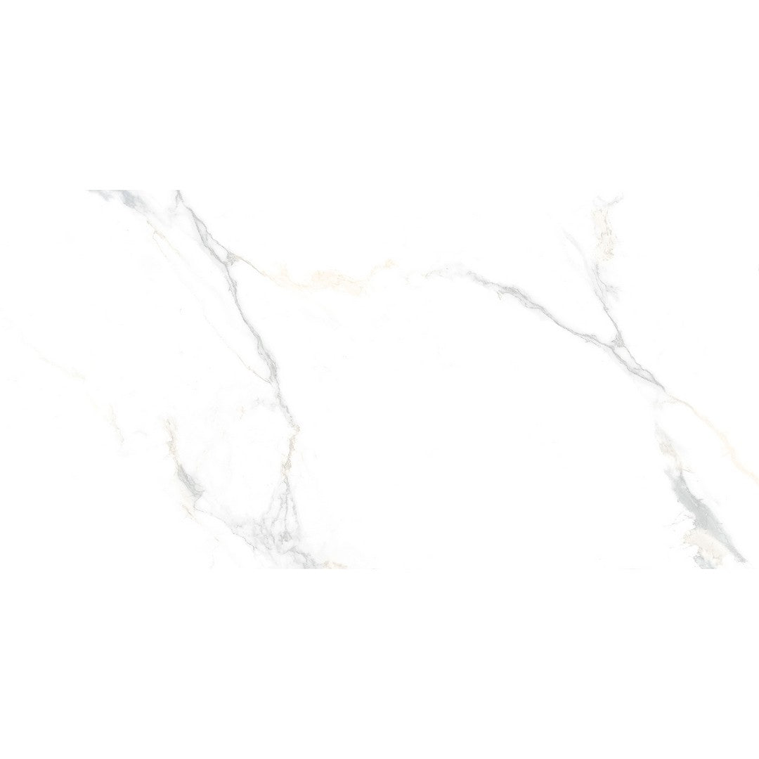 Tesoro Cora 24" x 48" Rectified Matte Porcelain Tile