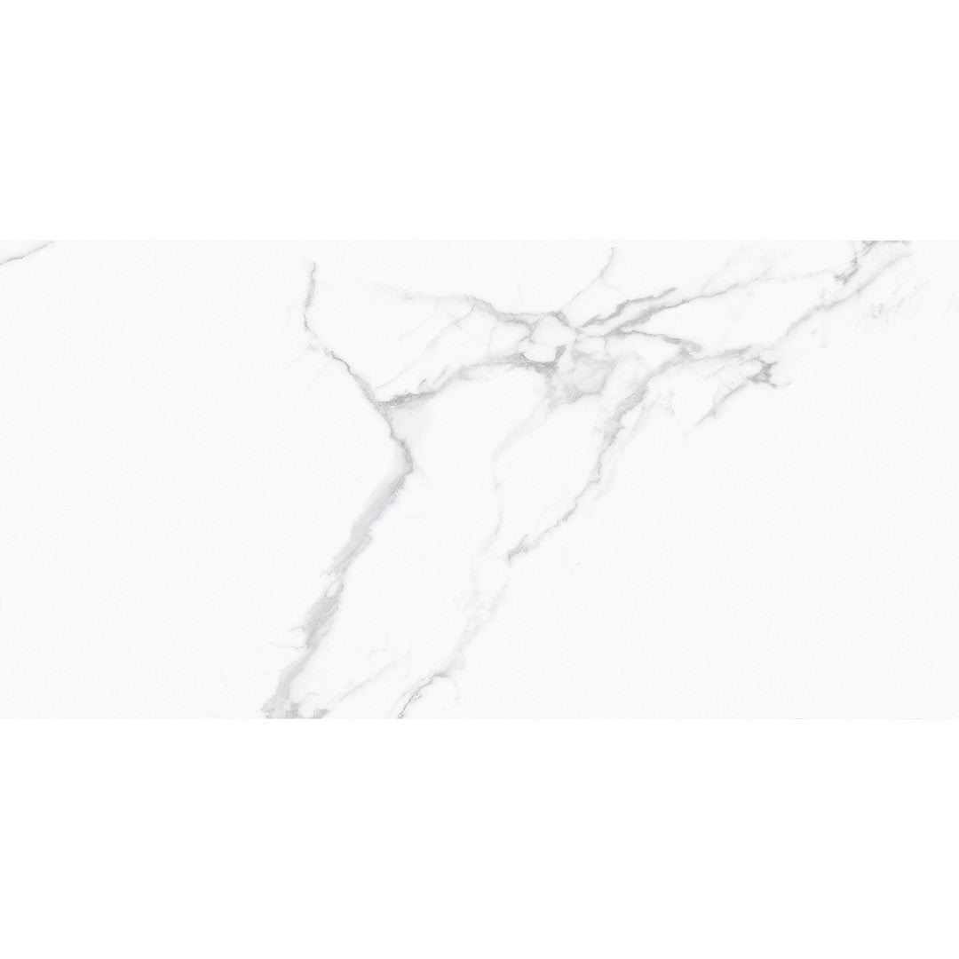 Tesoro Cora 24" x 48" Rectified Matte Porcelain Tile