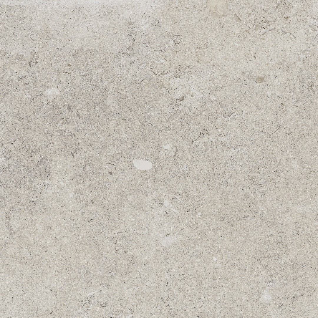 Happy Floors Coralina 24" x 24" Rectified Natural Porcelain Tile