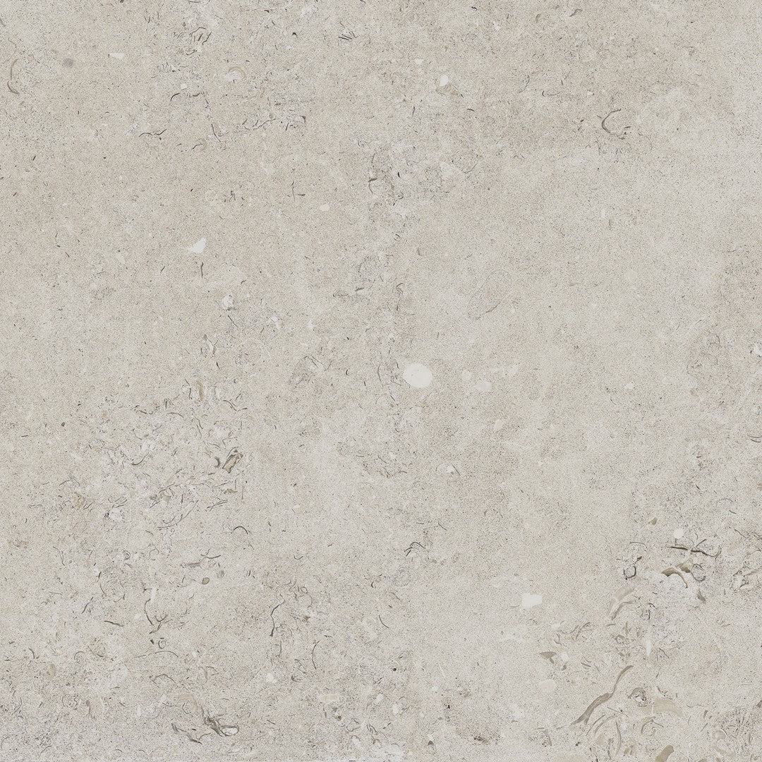 Happy Floors Coralina 24" x 24" Rectified Natural Porcelain Paver 2CM