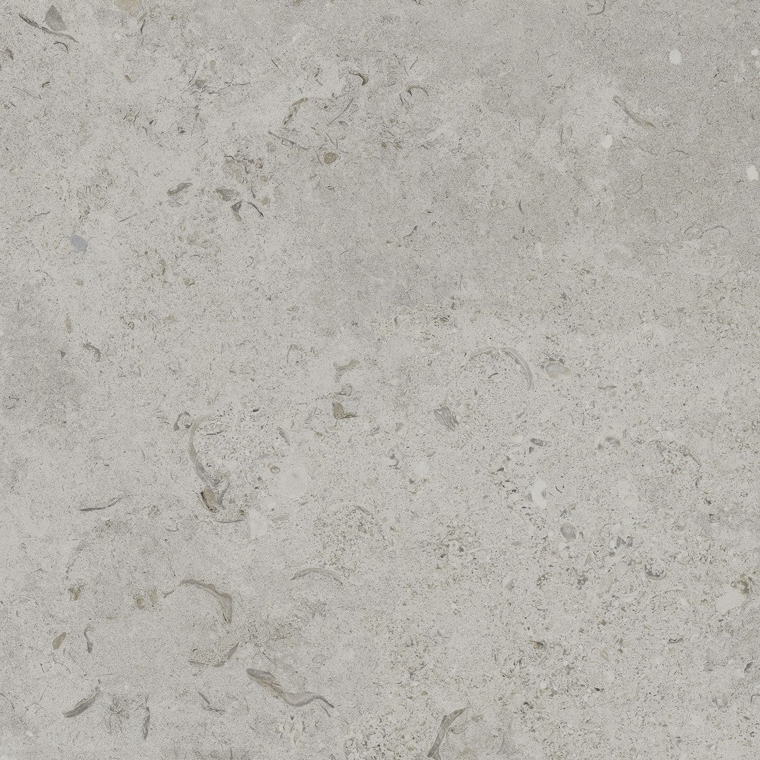 Happy Floors Coralina 24" x 24" Rectified Natural Porcelain Paver 2CM