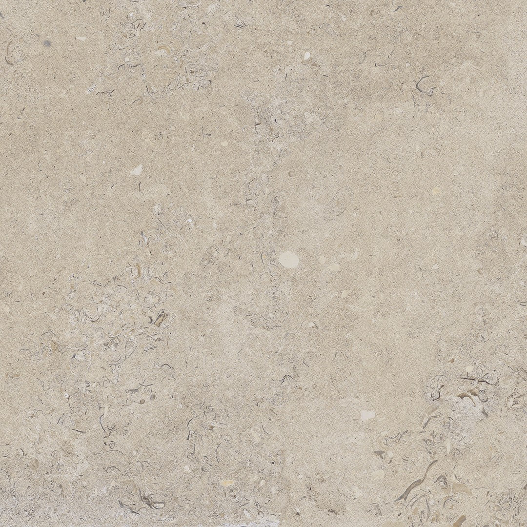 Happy Floors Coralina 24" x 24" Rectified Natural Porcelain Tile