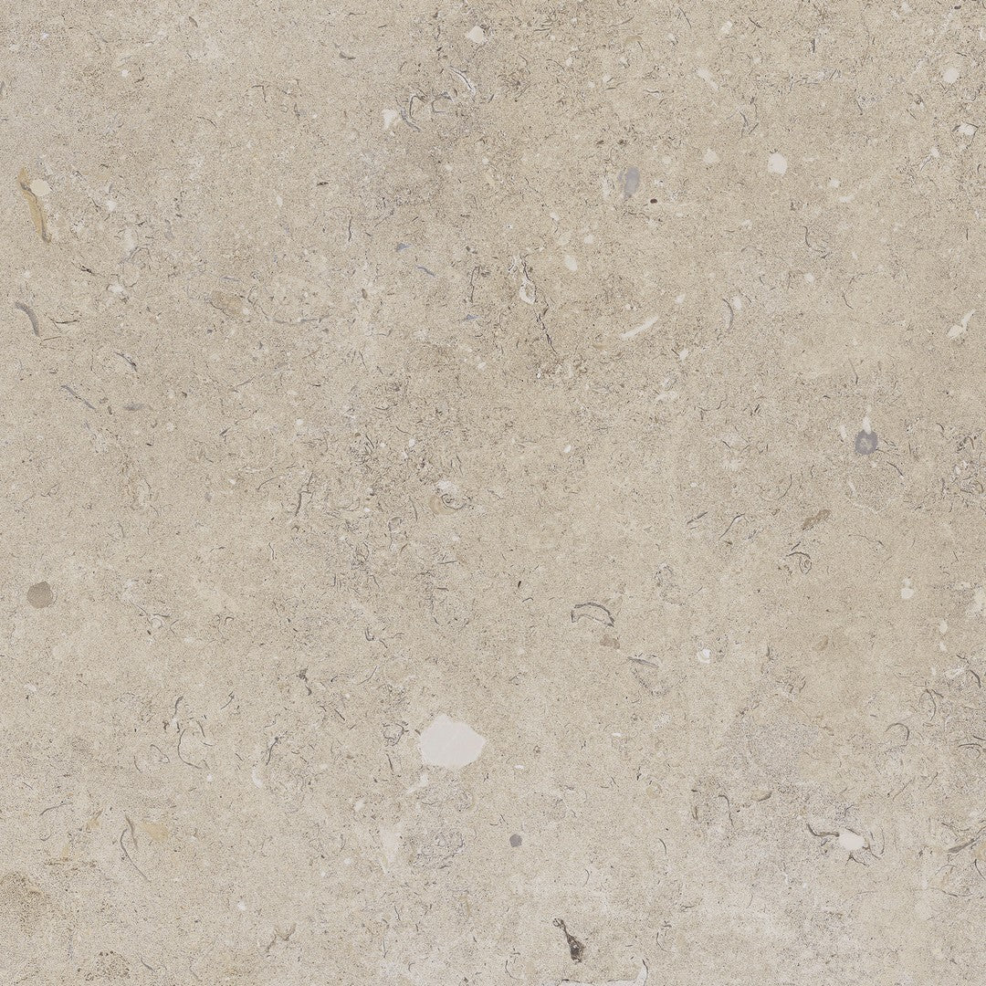 Happy Floors Coralina 24" x 24" Rectified Natural Porcelain Paver 2CM