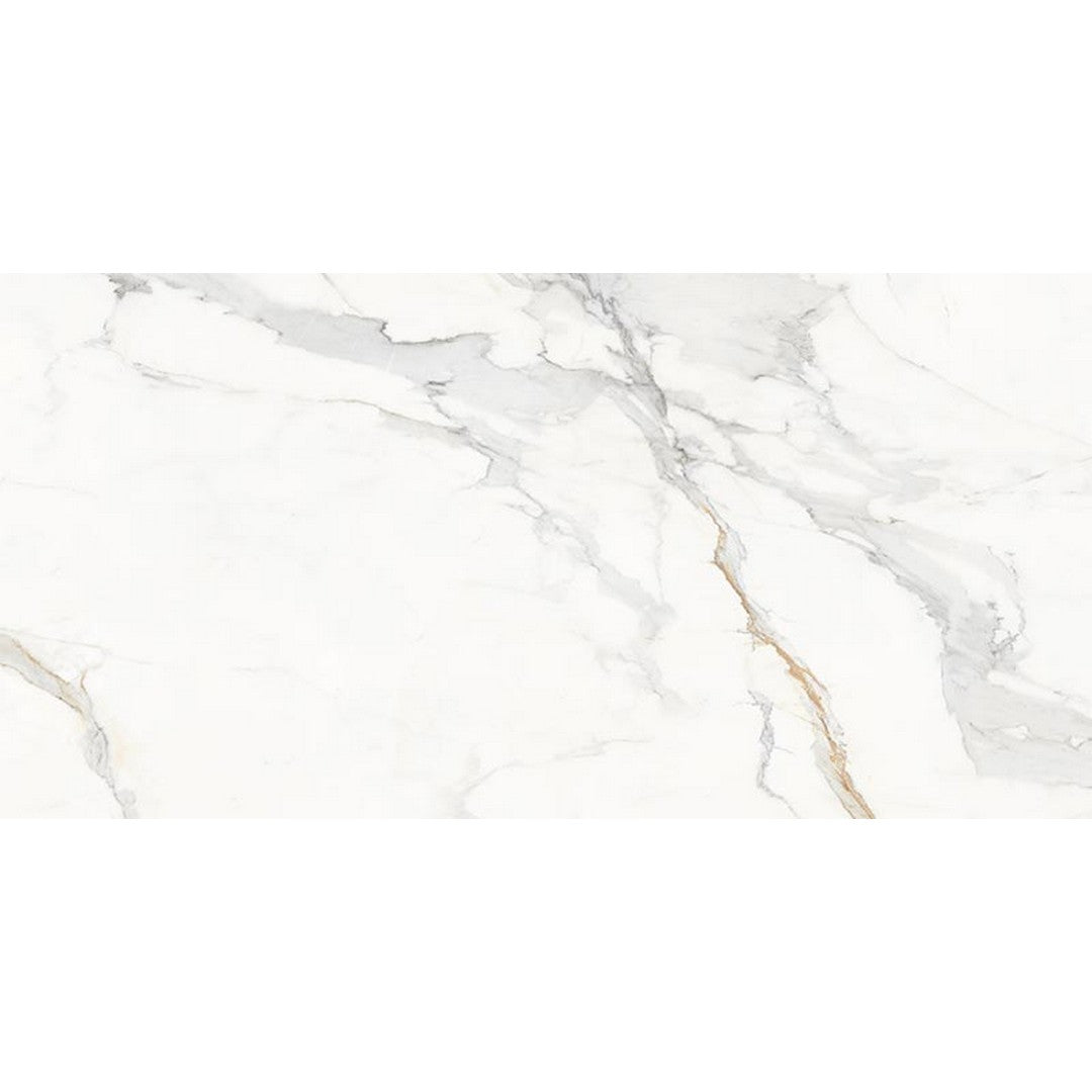 Happy Floors Marbella 12" x 24" Rectified Polished Porcelain Tile