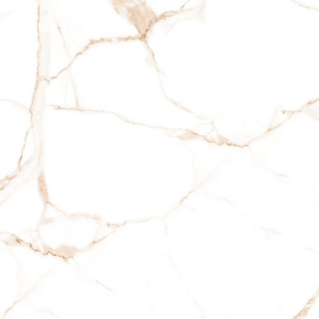 Happy Floors Alsacia 2.0 - 24" x 24" Rectified Natural Porcelain Tile