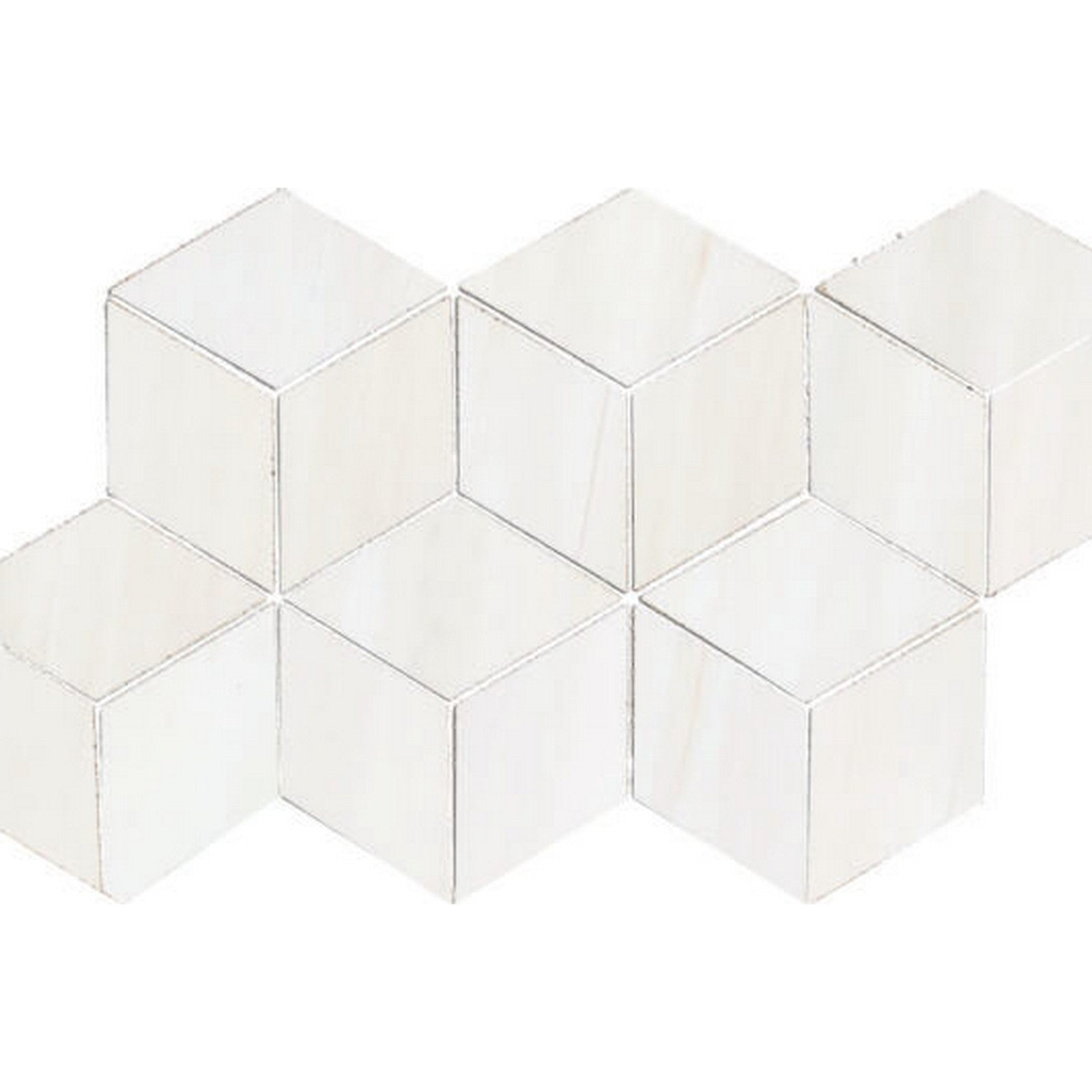 Happy Floors Dolomite 12" x 24" Porcelain Hexagon Mosaic