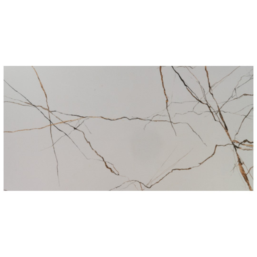 Keystone Lichen Series 24" x 48" Polished Porcelain Floor Tile