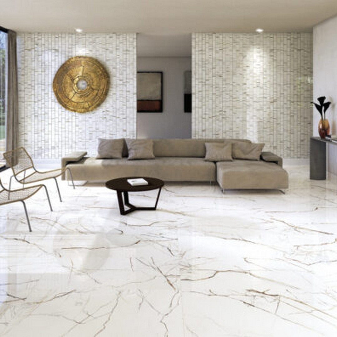 Keystone-Lichen-Series-24"-x-24"-Polished-Porcelain-Floor-Tile-Patagonia