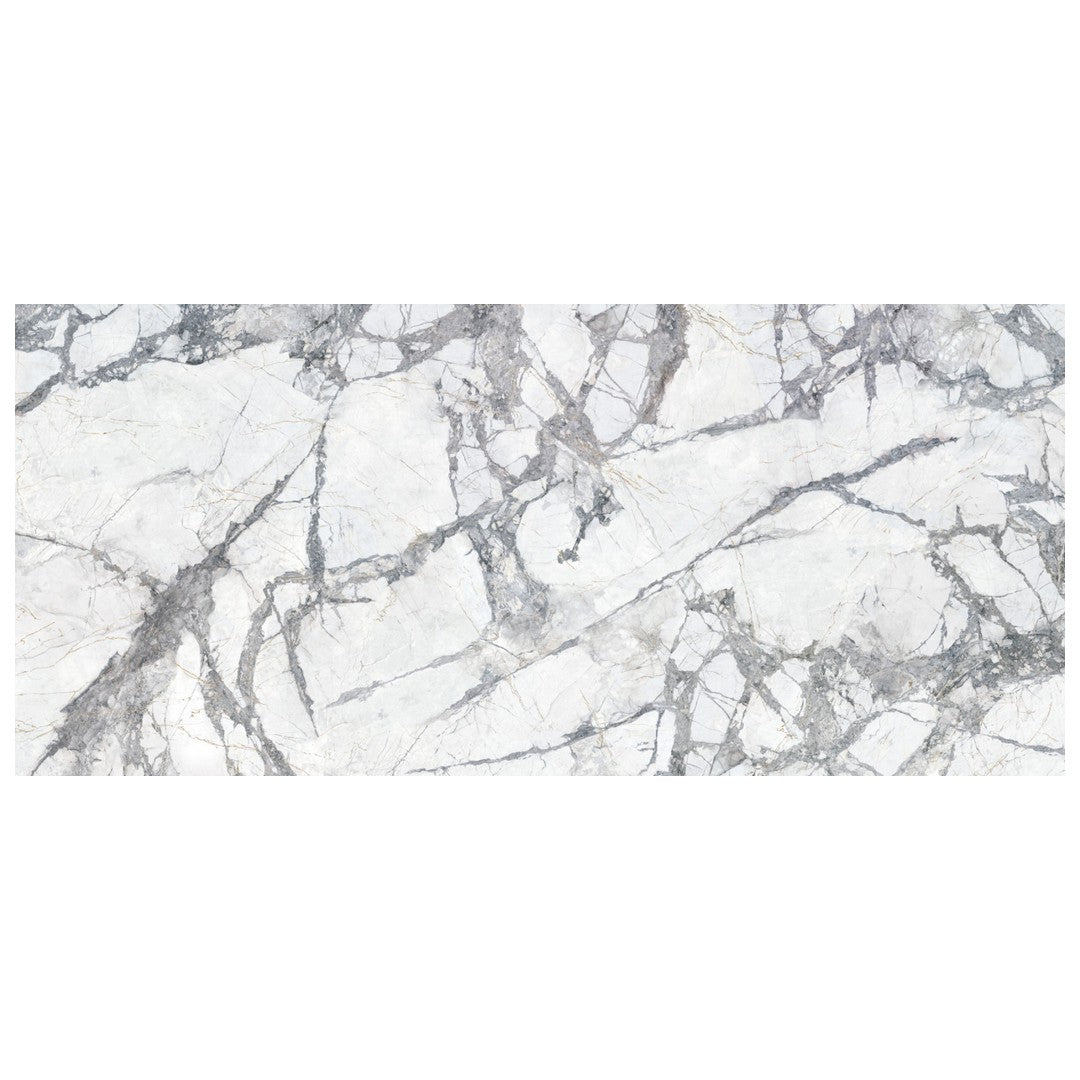 Keystone Invisible 24" x 48" Matte Porcelain Floor Tile