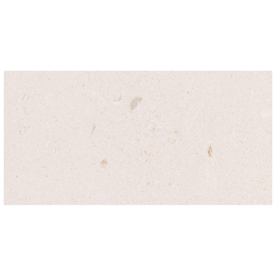 Keystone Shell Beach 12" x 24" Honed Limestone Tile