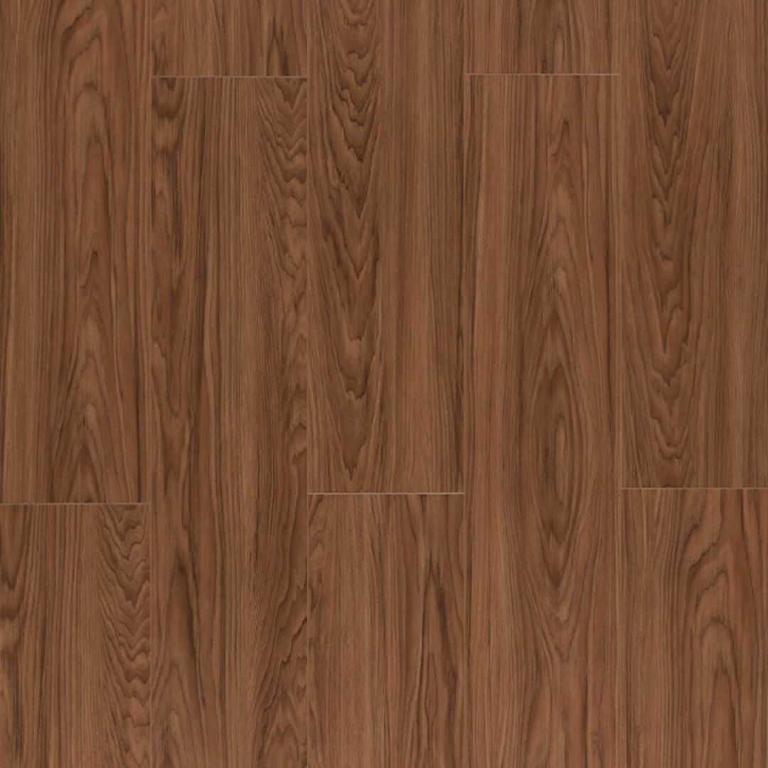 Lions Floor Trenta 9