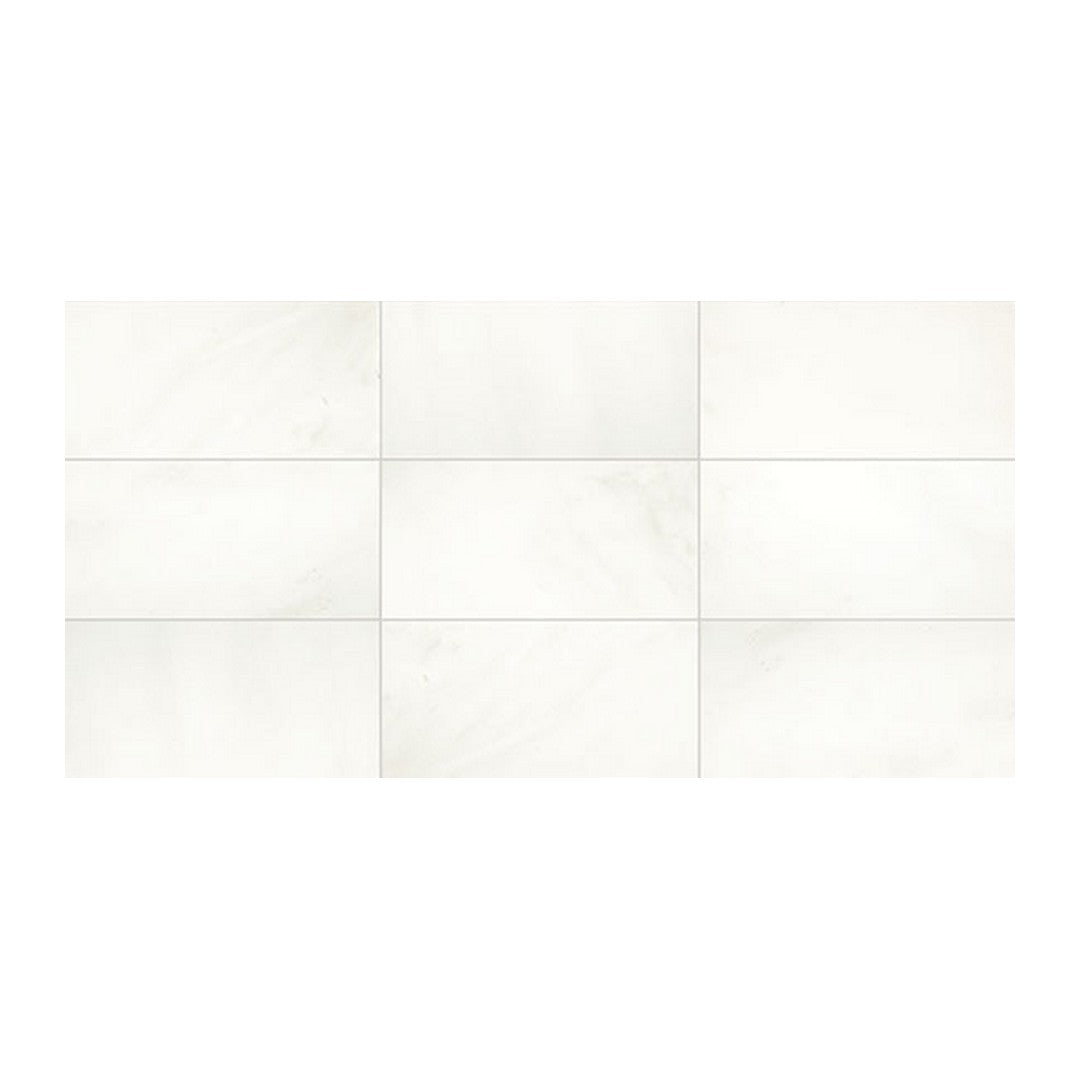 Daltile Natural Stone Marble 12" x 24" Polished Tile