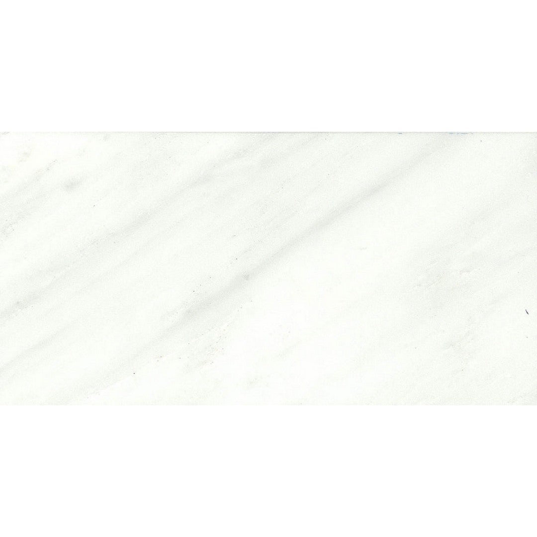 Emser Marble Winter Frost 3" x 6" Honed Marble Tile