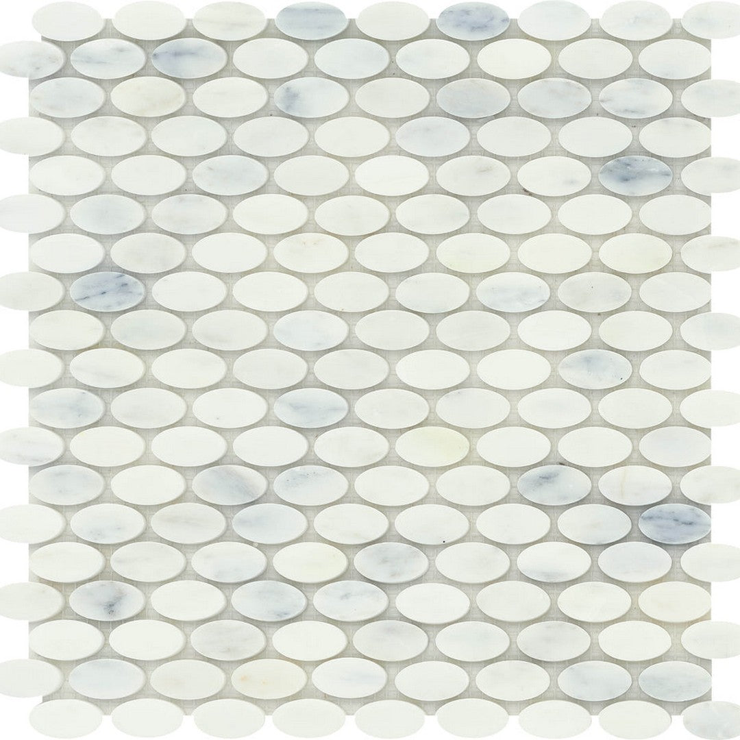 Emser Marble Winter Frost 12" x 12" Polished Marble Oval Mosaic