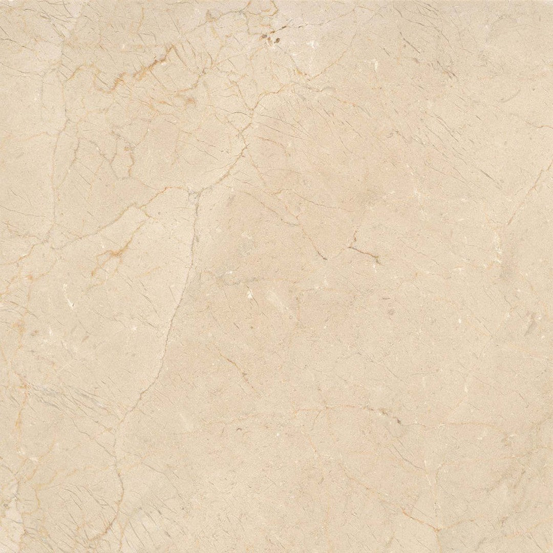 Emser Marble Marfil Plus 18" x 18" Polished Marble Tile