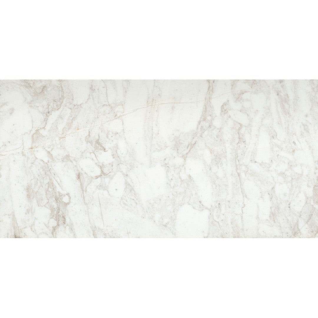 Emser Calacata 12" x 24" Honed Marble Tile