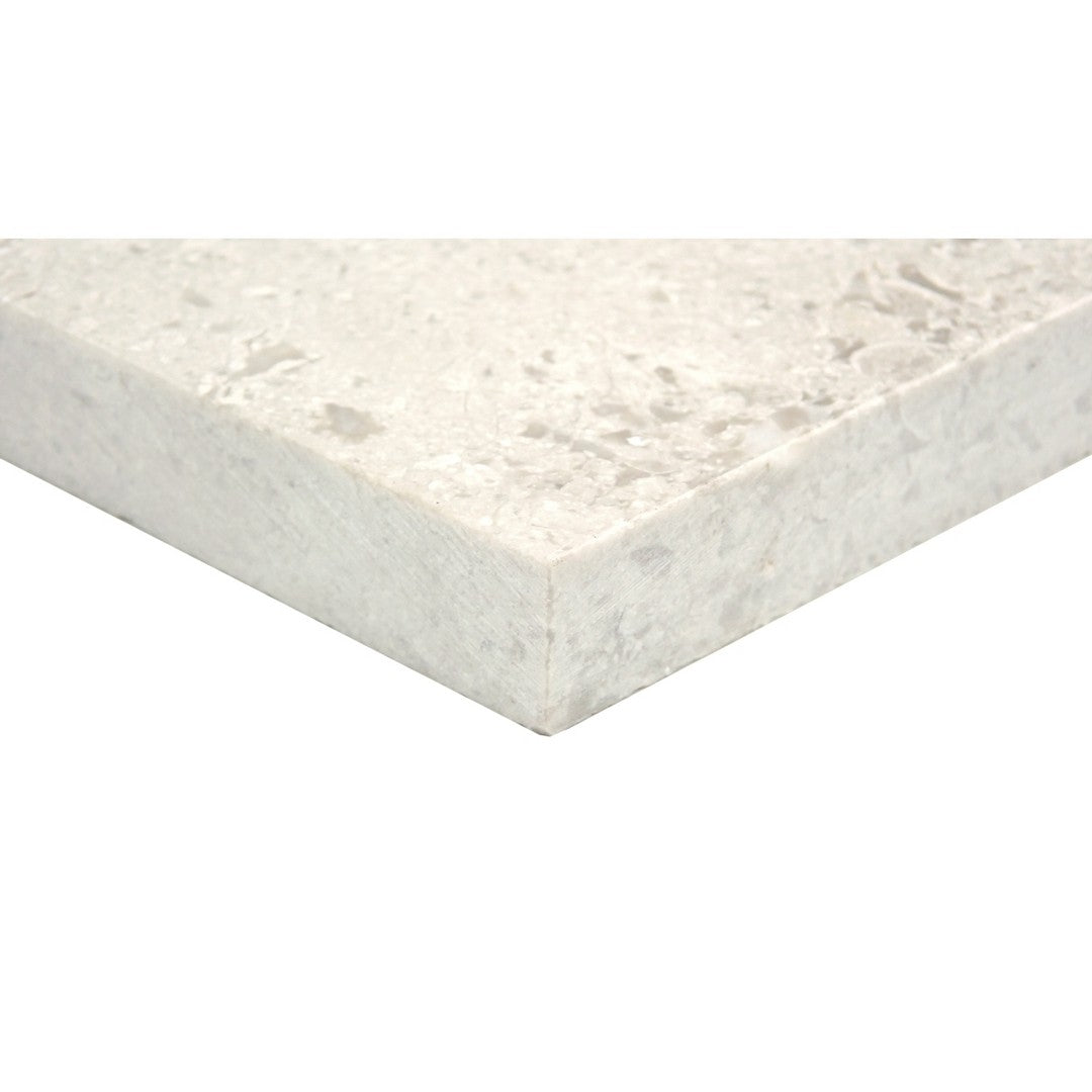 Emser-Tundra-12-x-24-Polished-Marble-Tile-Gray