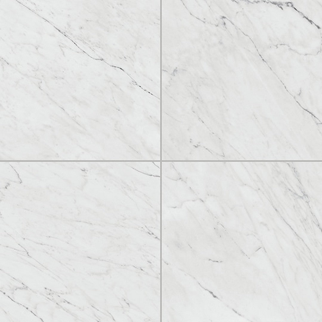 Daltile Marble Attache Lavish 24" x 24" Satin Rectified Porcelain Floor Tile