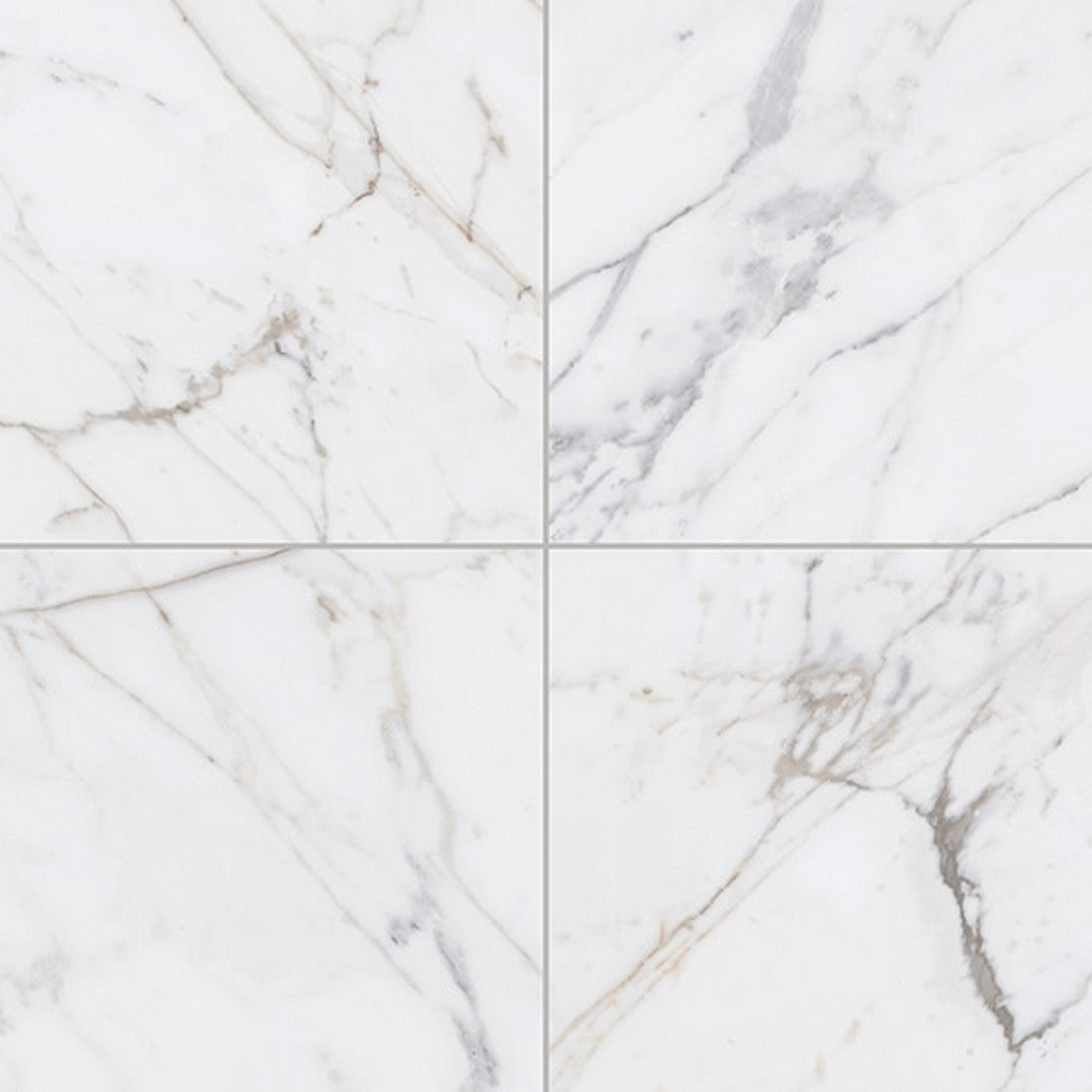 Daltile Marble Attache Lavish 24" x 24" Satin Rectified Porcelain Floor Tile