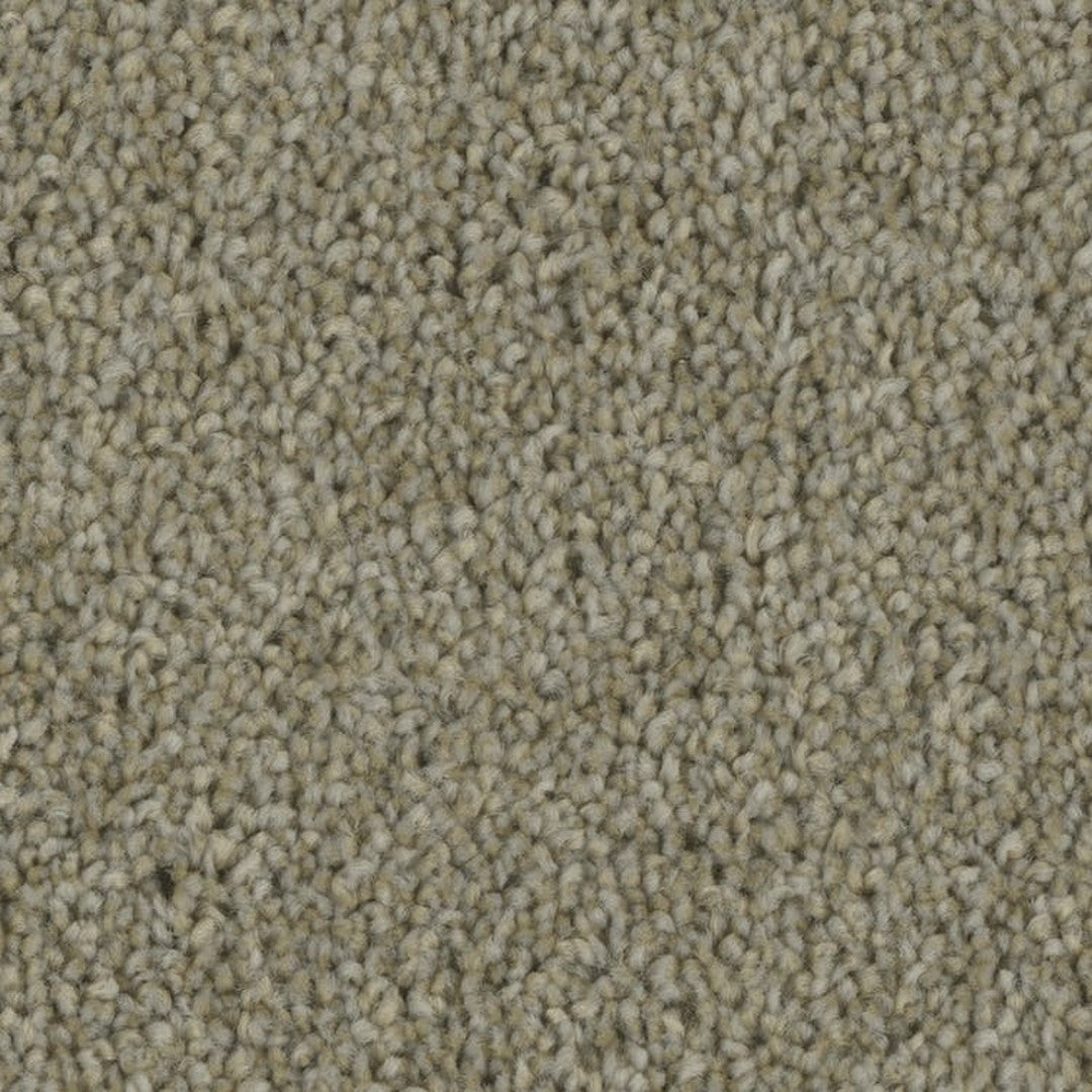 Phenix Microban Entice 12' Polyester Carpet Tile