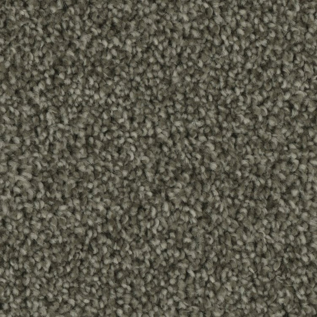 Phenix Microban Entice 12' Polyester Carpet Tile