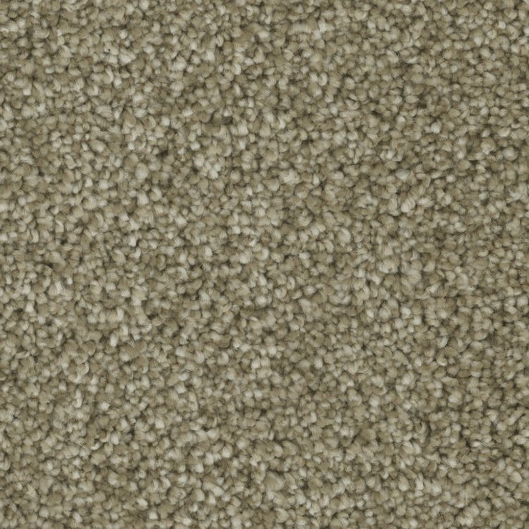 Phenix Microban Blessed 12' Polyester Carpet Tile