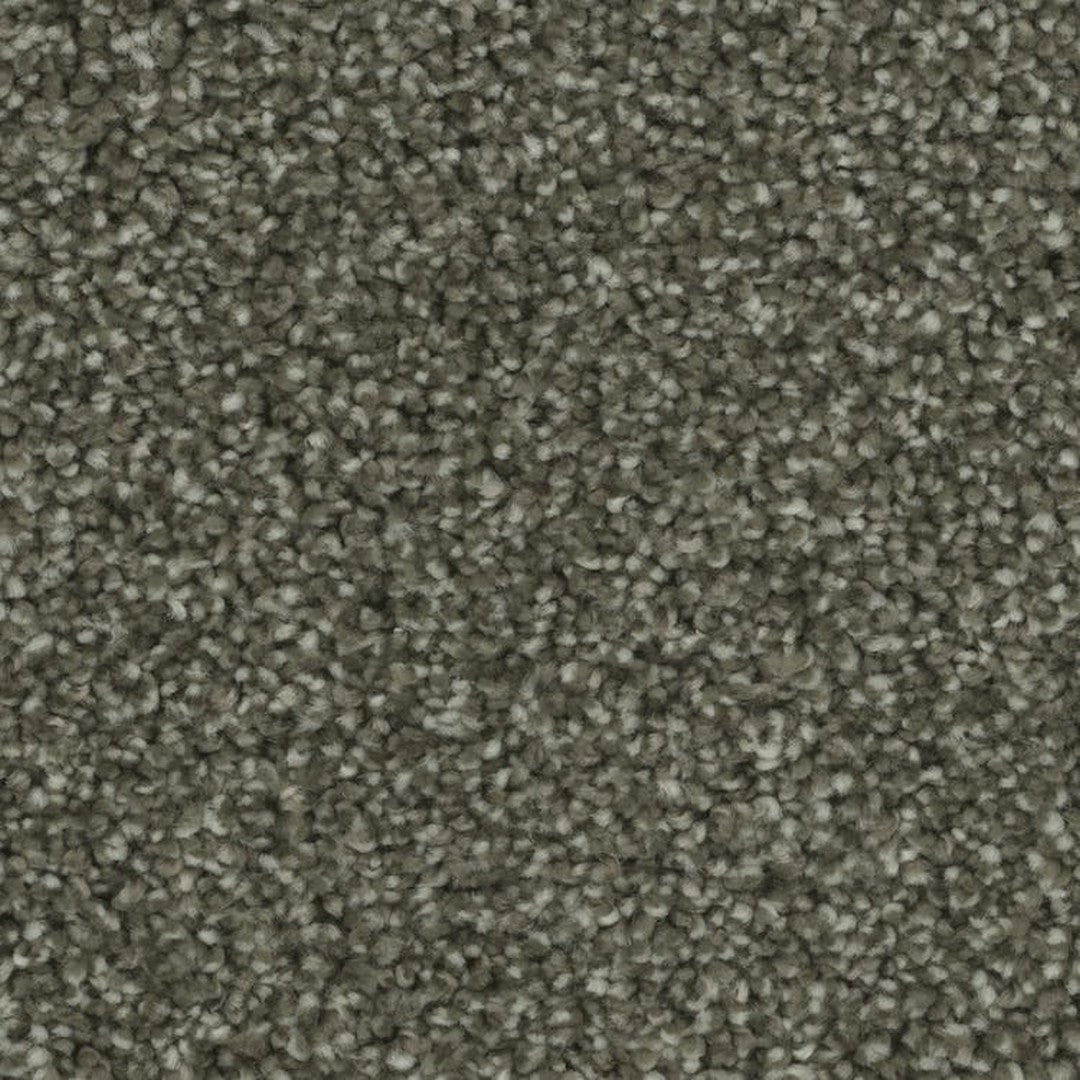 Phenix Microban Blessed 12' Polyester Carpet Tile
