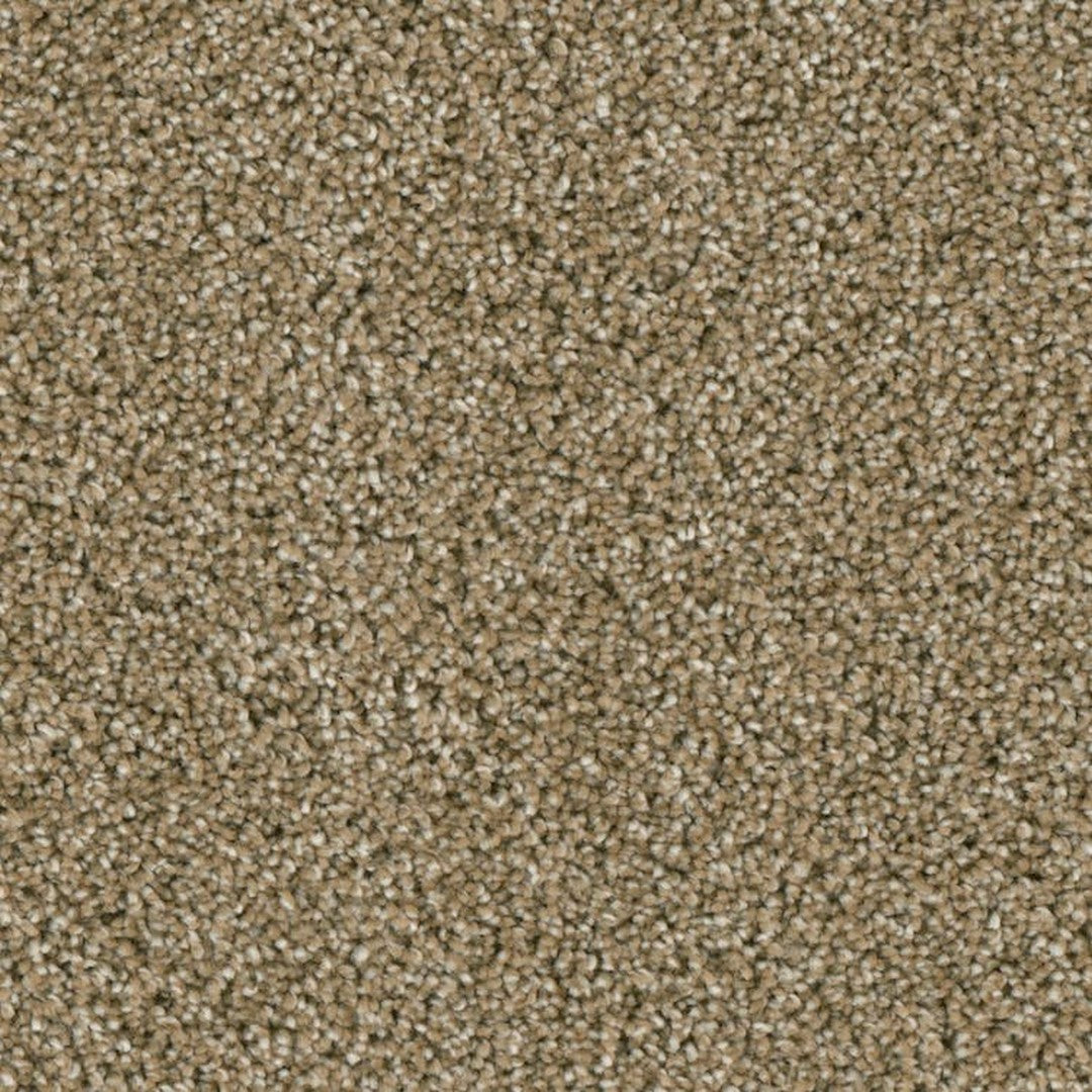 Phenix Microban Tabernacle 12' Polyester Carpet Tile