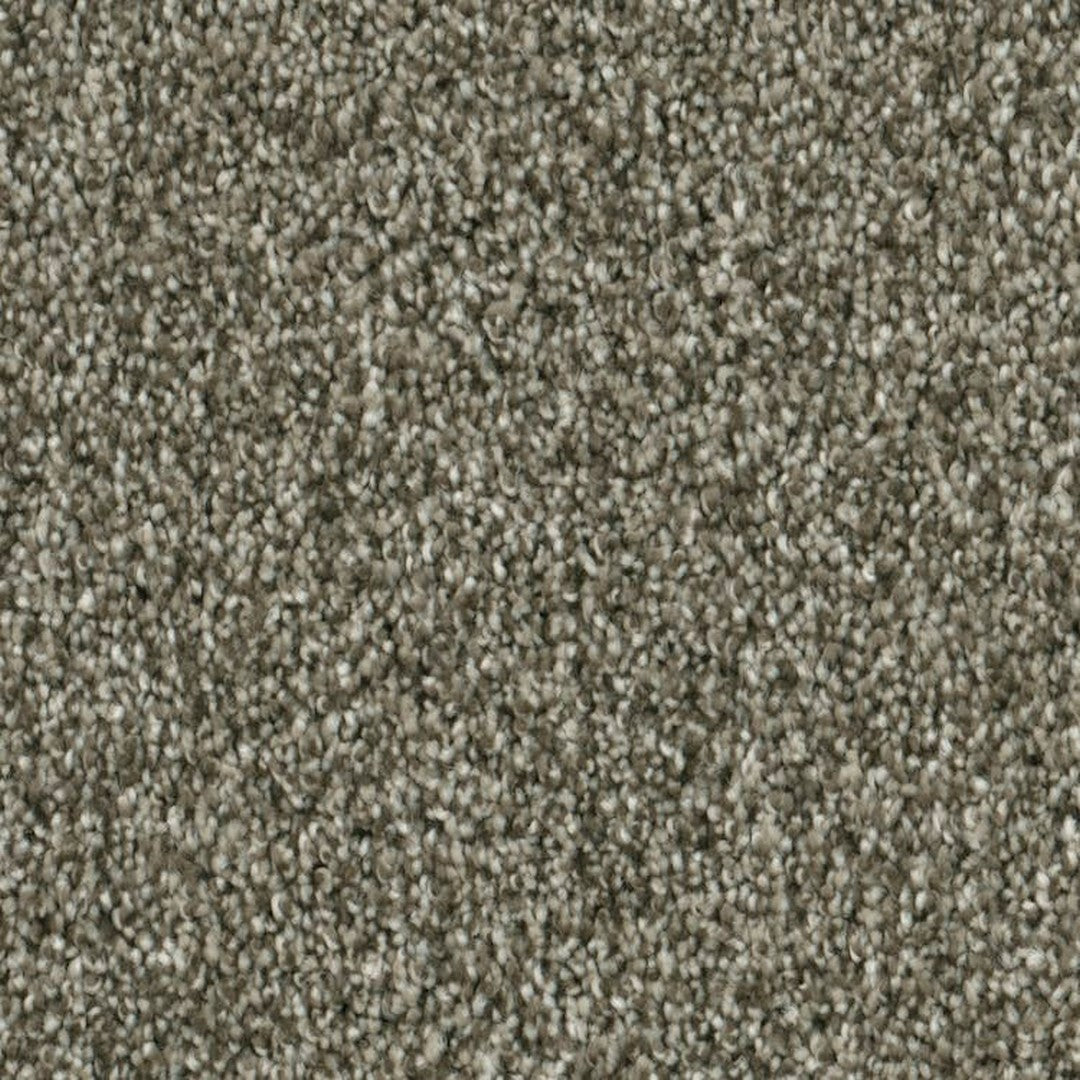 Phenix Microban Lincoln Hall 12' Polyester Carpet Tile