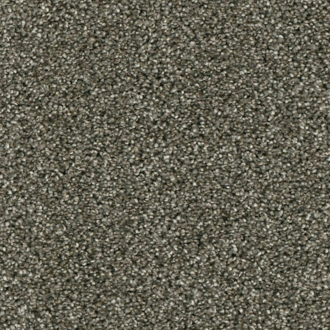 Phenix Microban Lincoln Hall 12' Polyester Carpet Tile