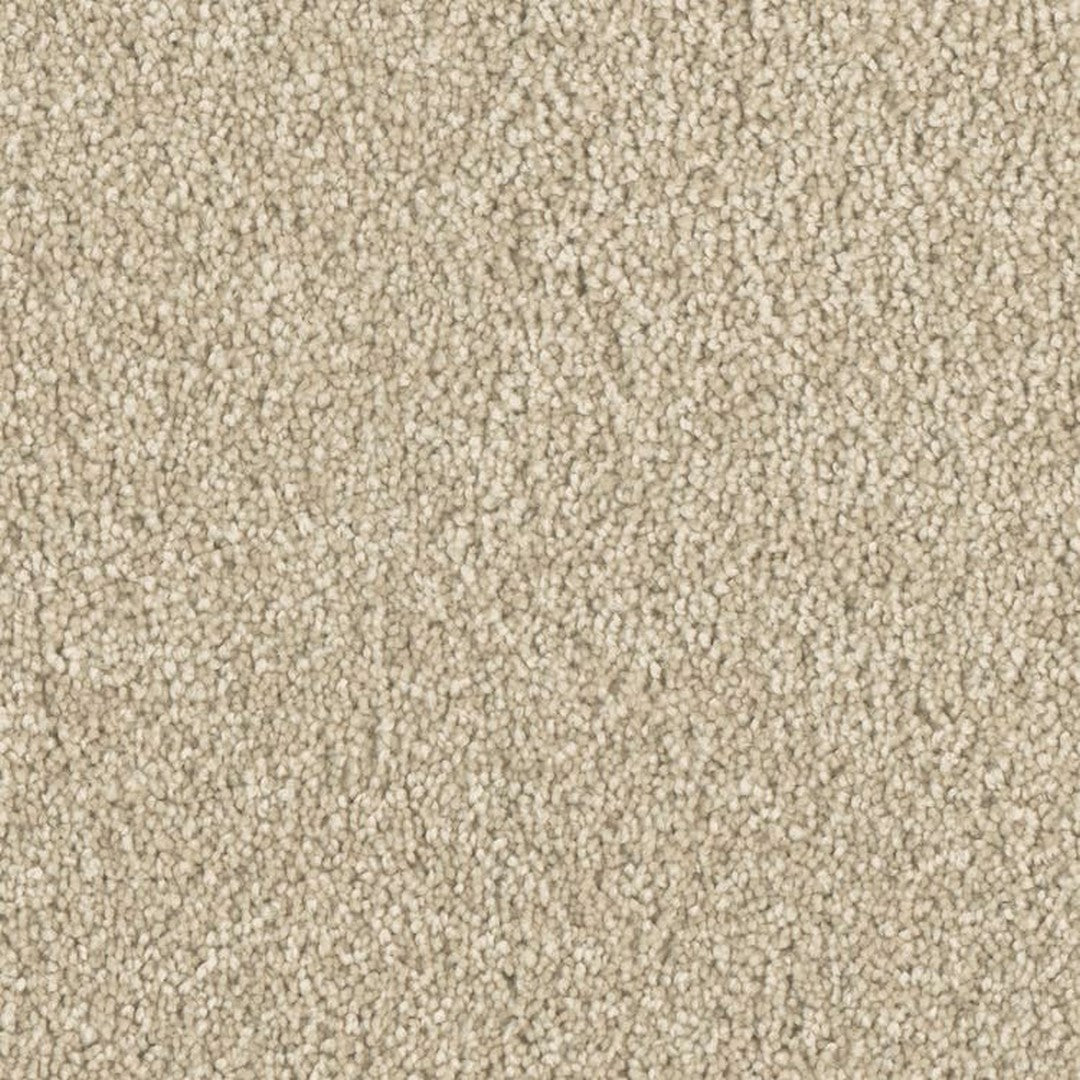 Phenix Microban Five Star 12' Polyester Carpet Tile