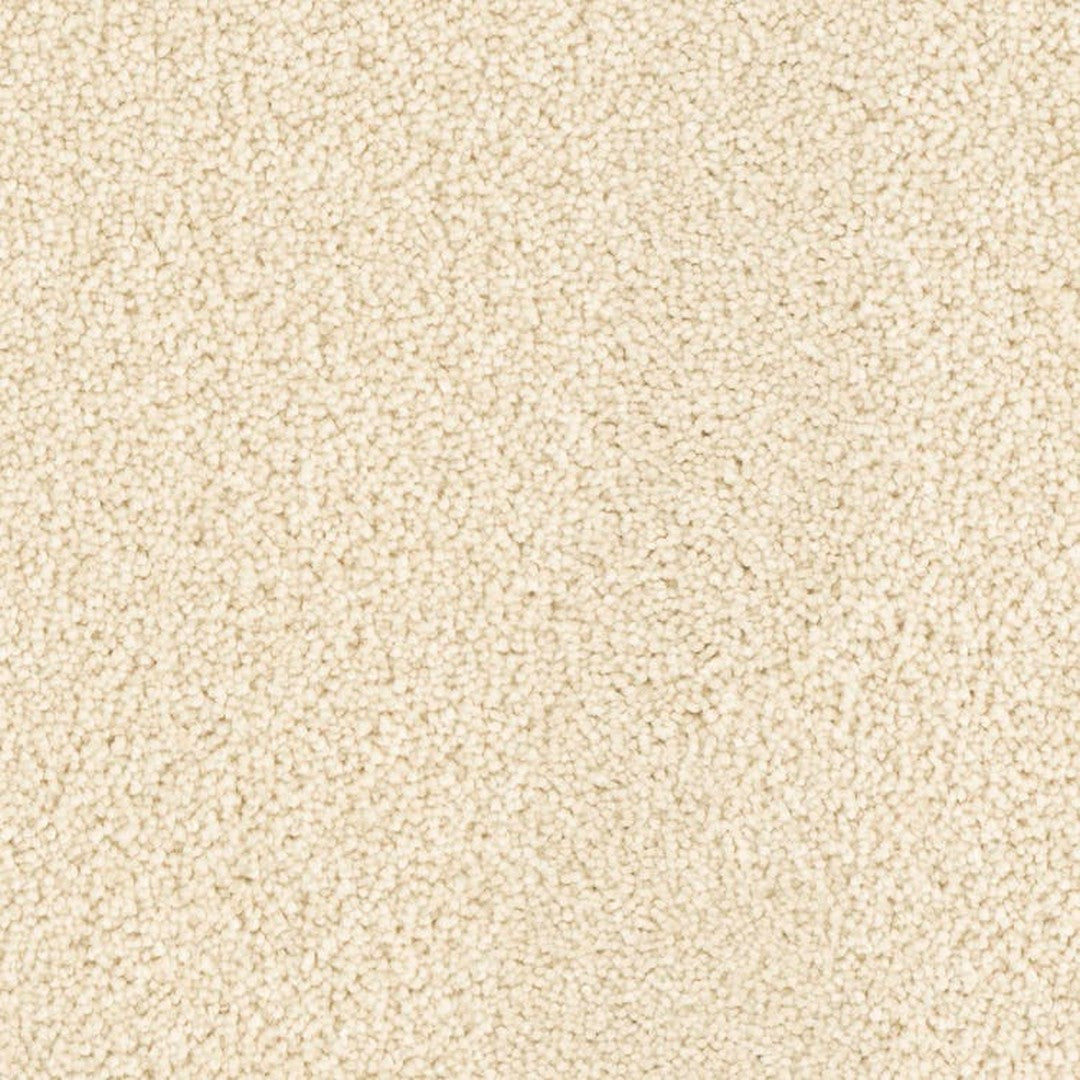 Phenix Microban Five Star 12' Polyester Carpet Tile