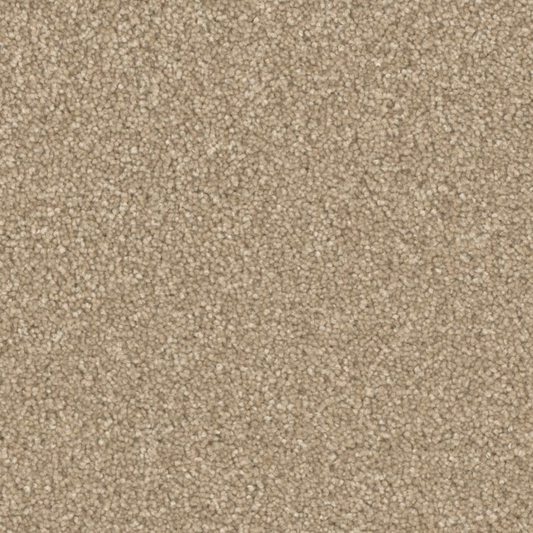 Phenix Microban Five Star 12' Polyester Carpet Tile