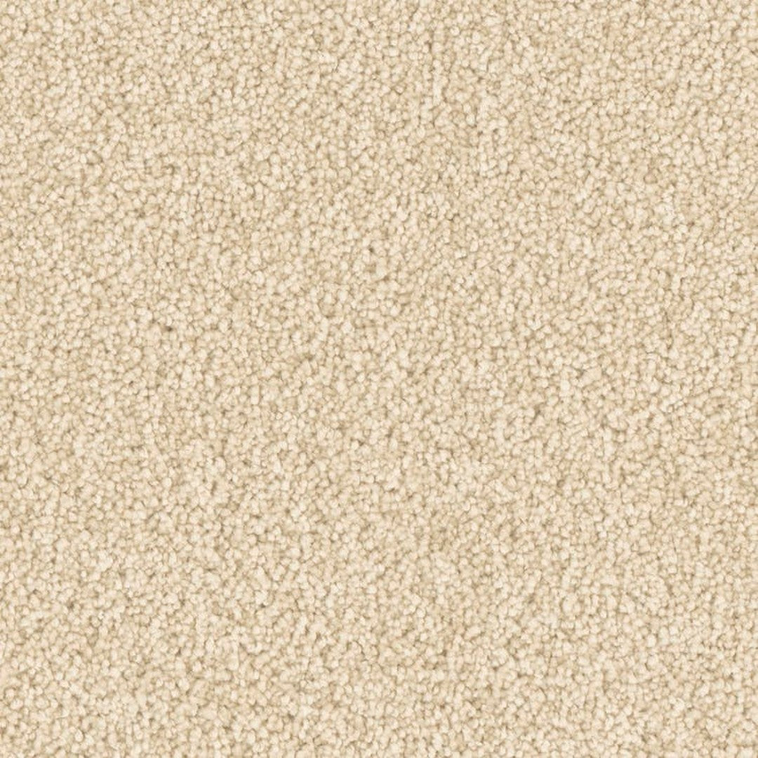 Phenix Microban Five Star 12' Polyester Carpet Tile