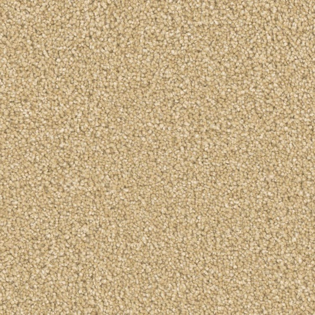 Phenix Microban Five Star 12' Polyester Carpet Tile