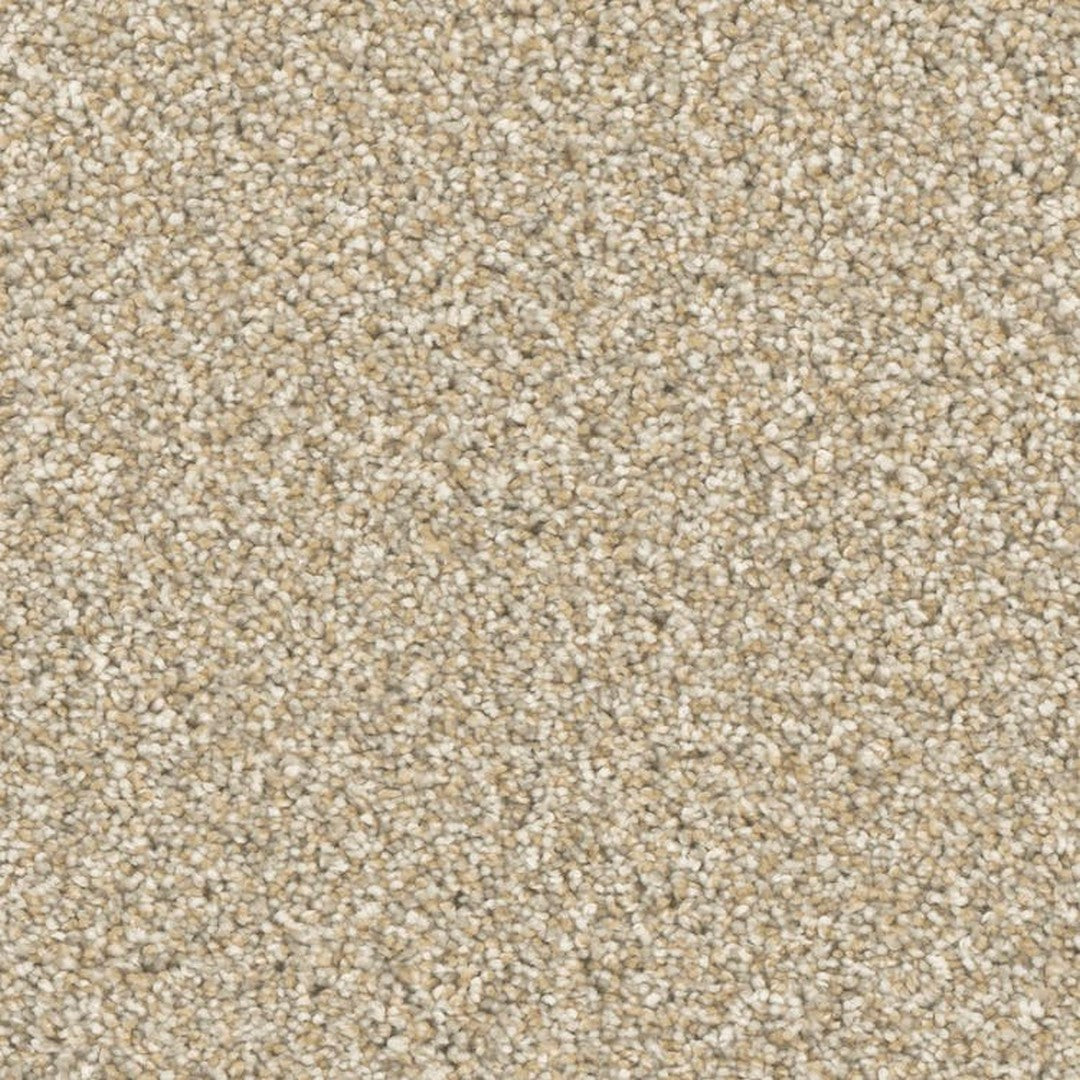 Phenix Microban Five Star 12' Polyester Carpet Tile