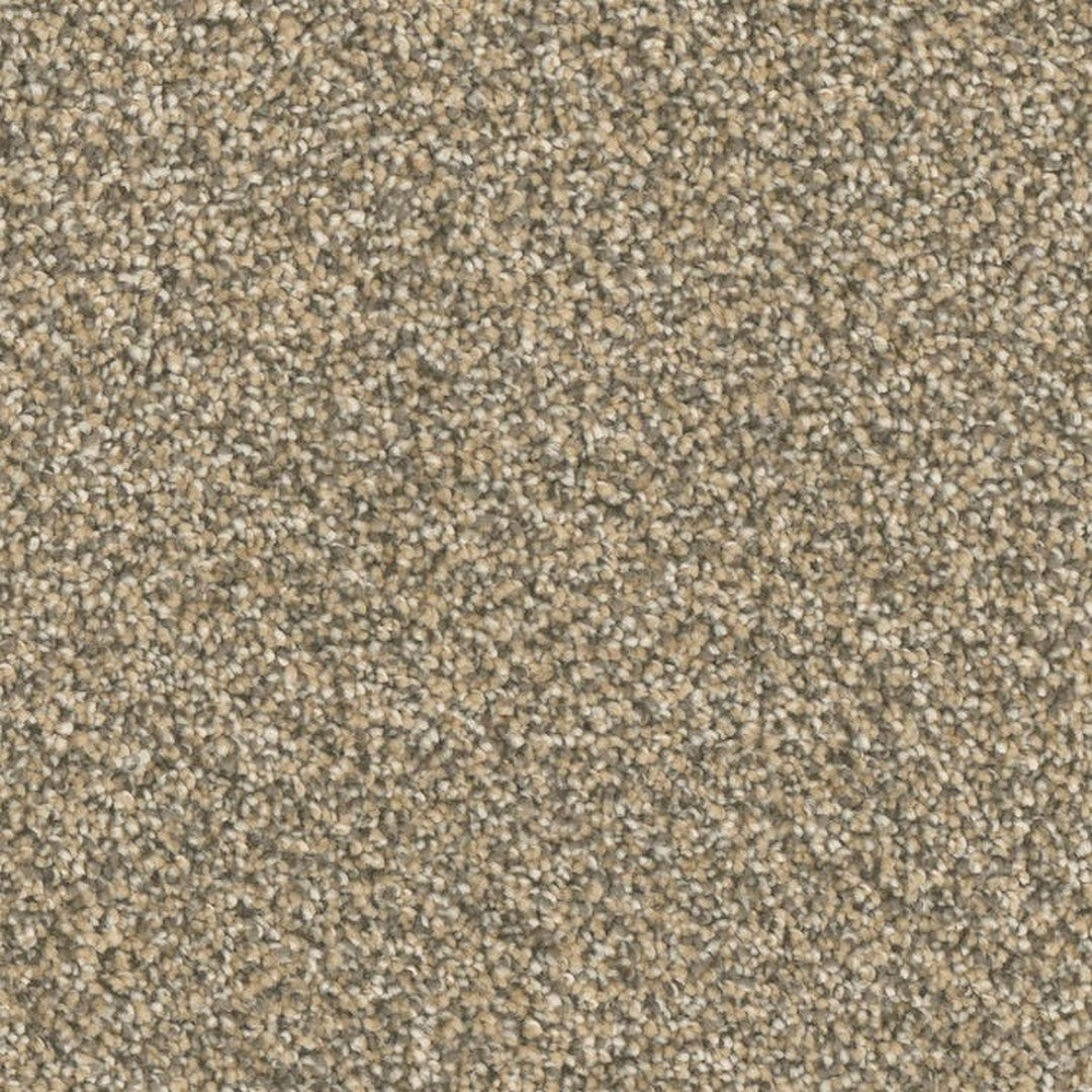 Phenix Microban Five Star 12' Polyester Carpet Tile